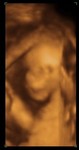 Madison Elizabeth 20 Weeks