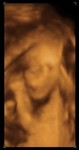 Madison Elizabeth 20 Weeks