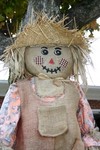 IMG 0292