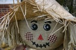 IMG 0294