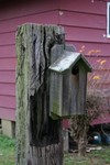 IMG 0296
