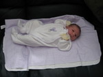 IMG 0058