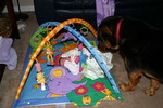 Luke thinks those look a lot like his toys!
