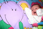 Big, purple, crinkly elephant!