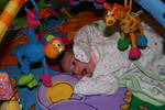 Highlight for Album: Madison Elizabeth - One Week Old
