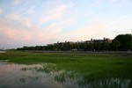 IMG_4342