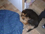 Conked Out
