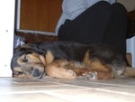 Conked Out