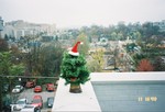 DouglasFir