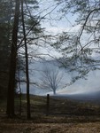 Cades Cove Fire