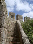Highlight for Album: Portugal Mission Trip